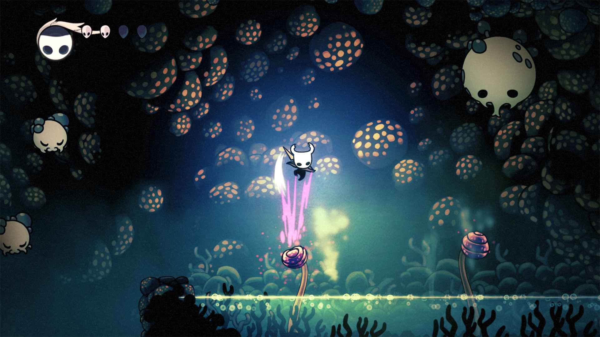 Hollow Knight 