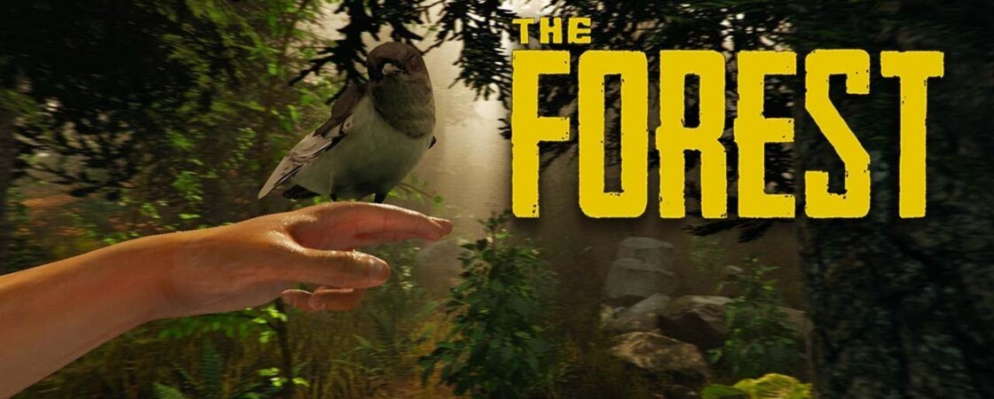 The Forest