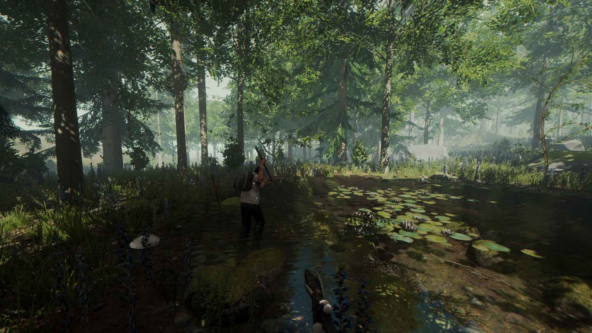 The Forest