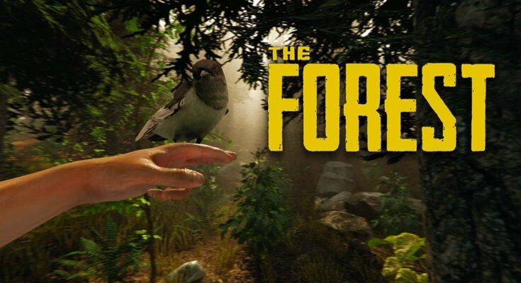 The Forest
