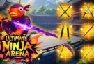 Ninja Arena